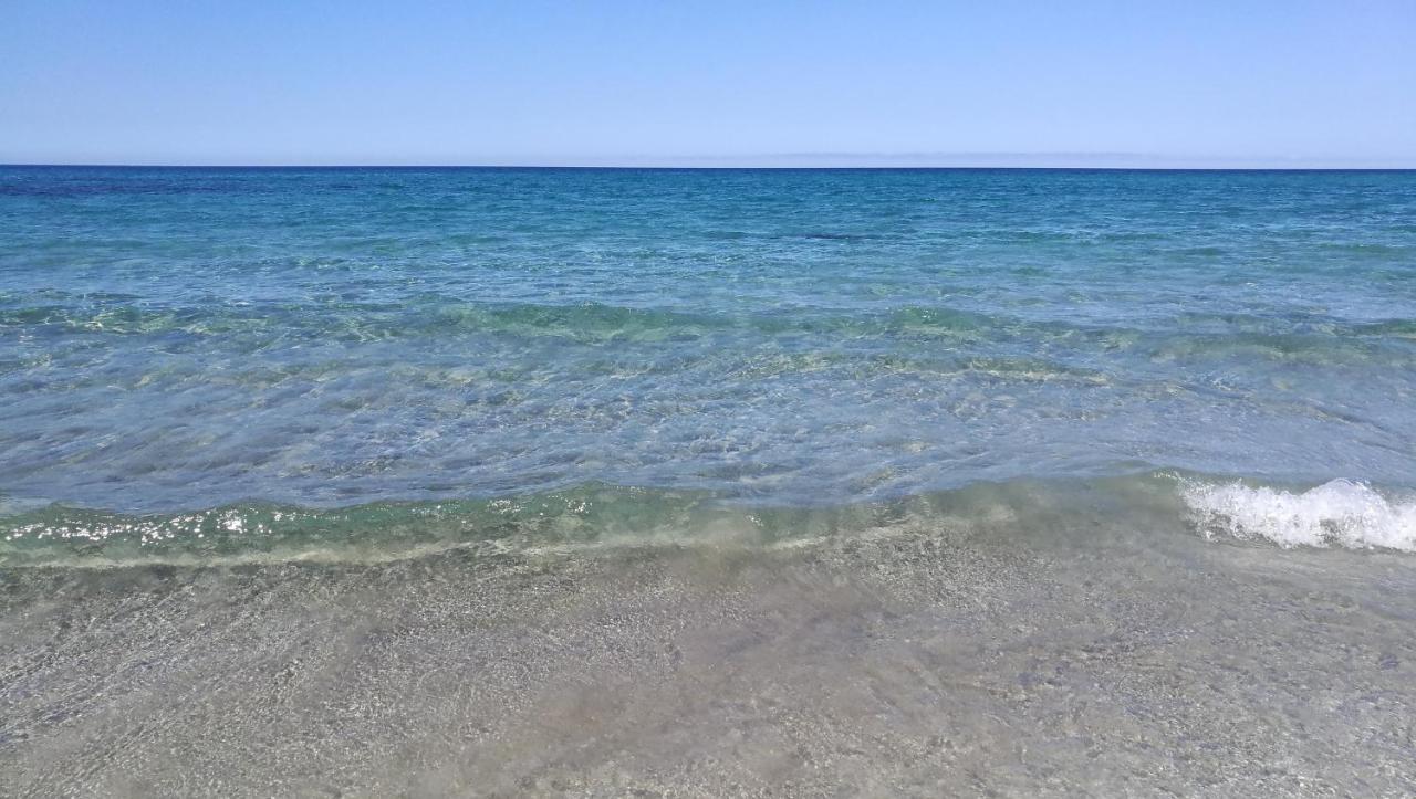 "Sutt'E Su Sole" - Vacanza Nel Cuore Della Sardegna Siamanna Zewnętrze zdjęcie